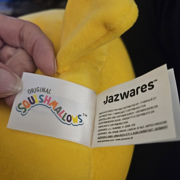 WOODSTOCK *Original Squishmallow* PEANUTS 2024 Valentines Edition. 8" - Picture 5 of 5